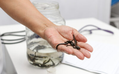 Report Macroinvertebrati